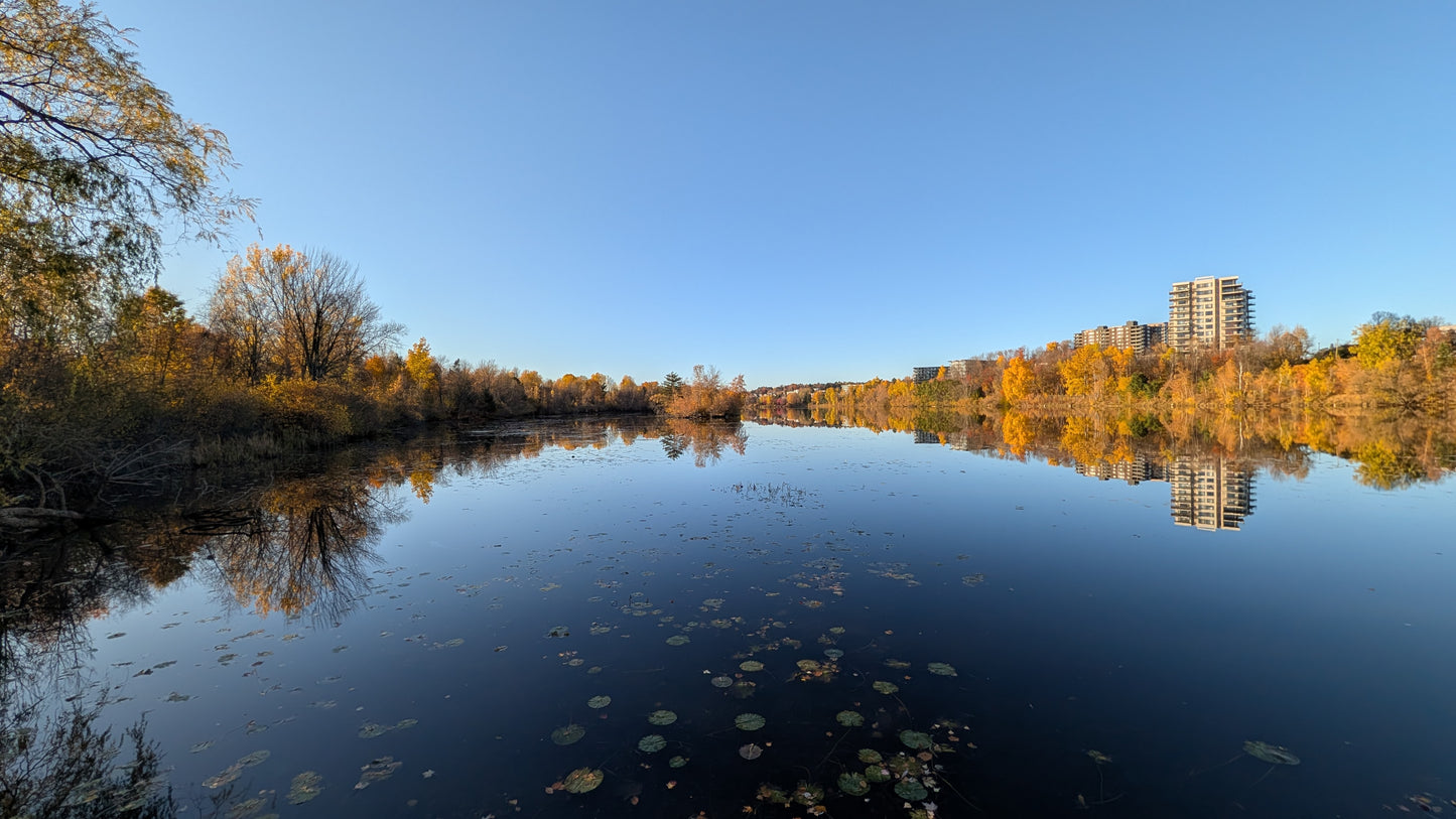 2026-10-21 16:17 (Vue T2)