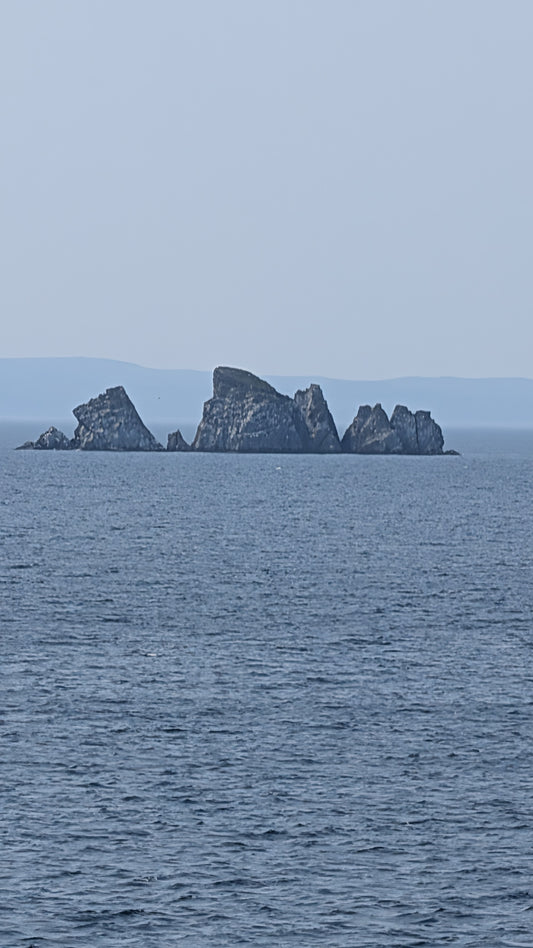 Shag Rock Newfoundland