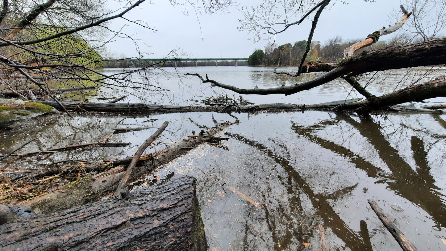 30 Avril 2021 La Pluie