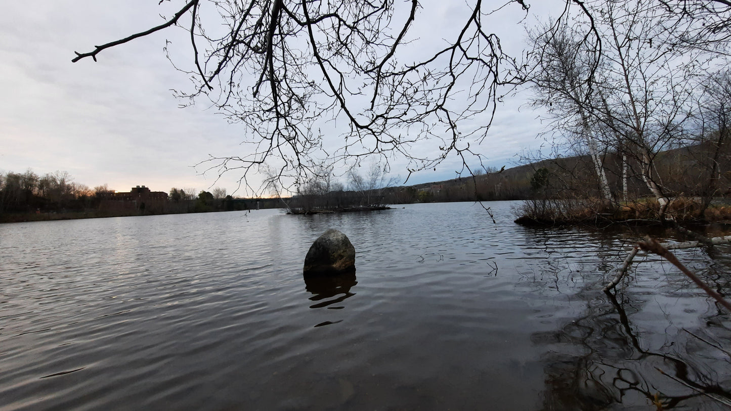 Le Rocher Du 4 Mai 2021 À 5H43 (Vue Rocher)