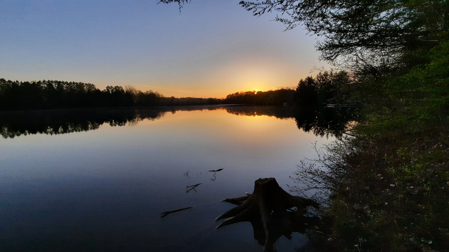 Le Soleil Du 16 Mai 2021 (Vue Souche)