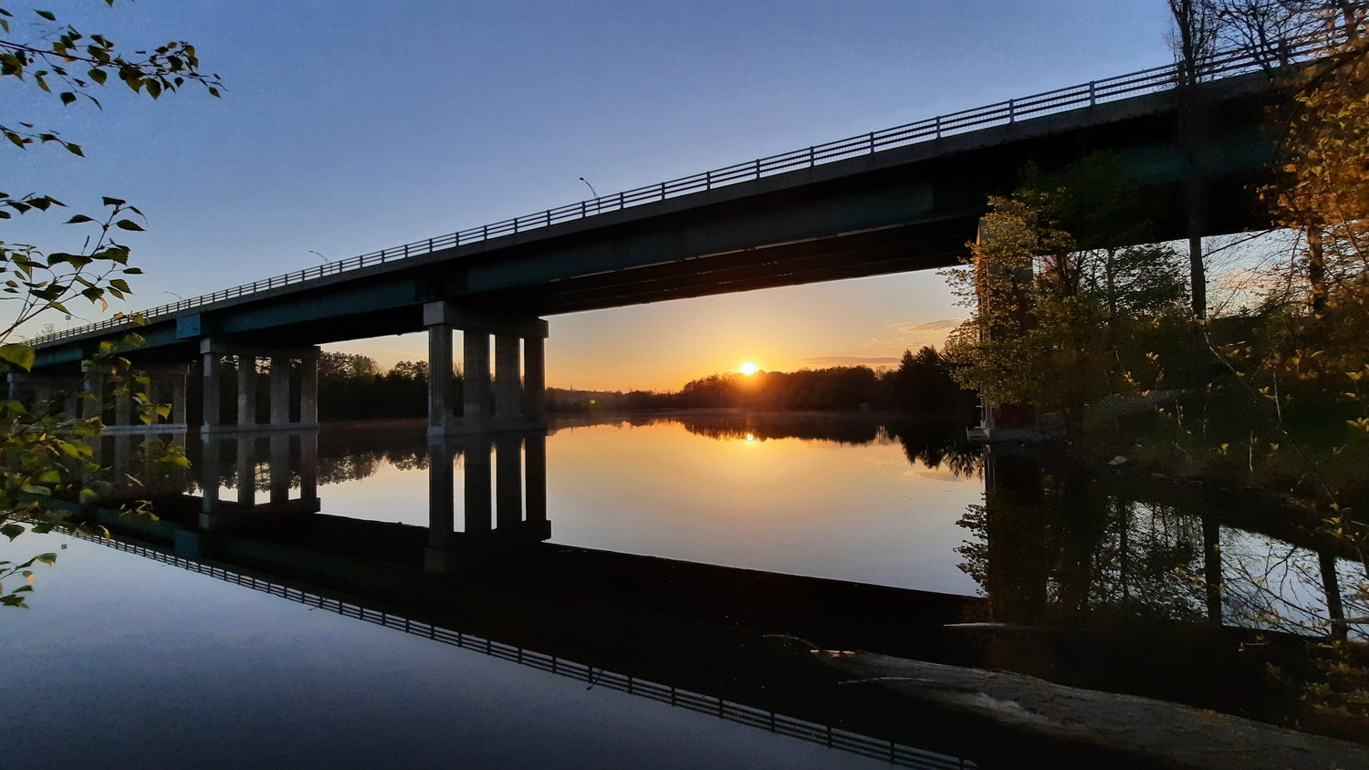 Le Soleil 16 Mai 2021 (Vue Arbre Kayak)