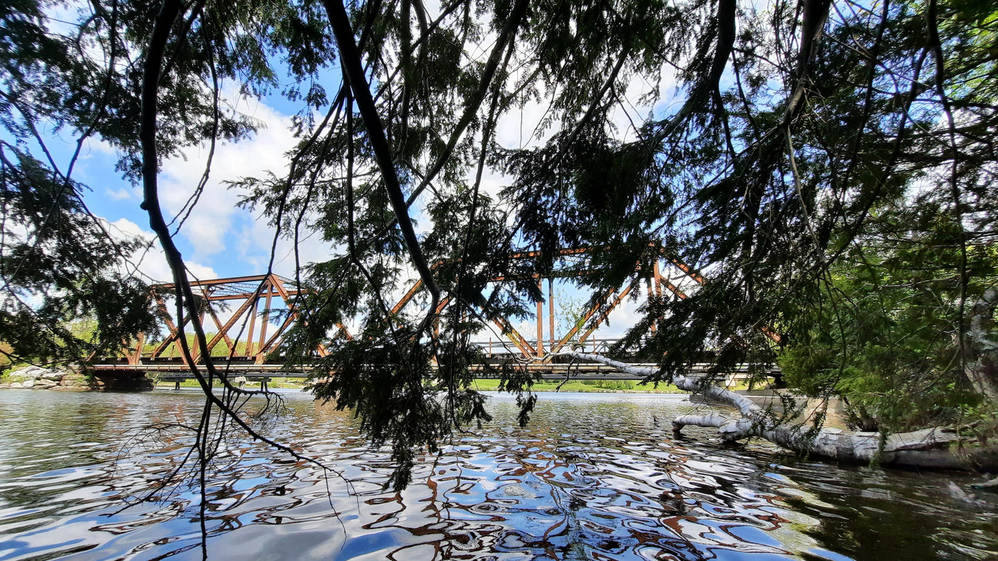 Le Pont Noir Du 18 Mai 2021 (Vue 04)