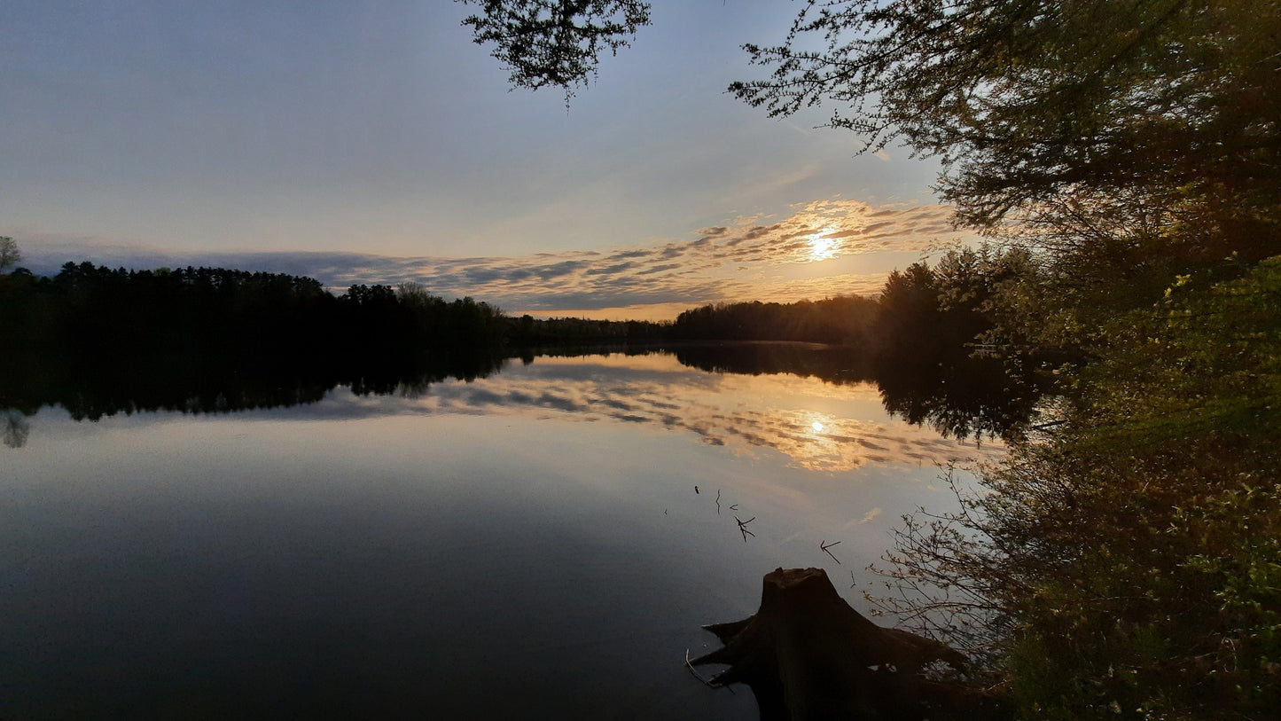 Le Soleil Du 19 Mai 2021 (Vue Souche)