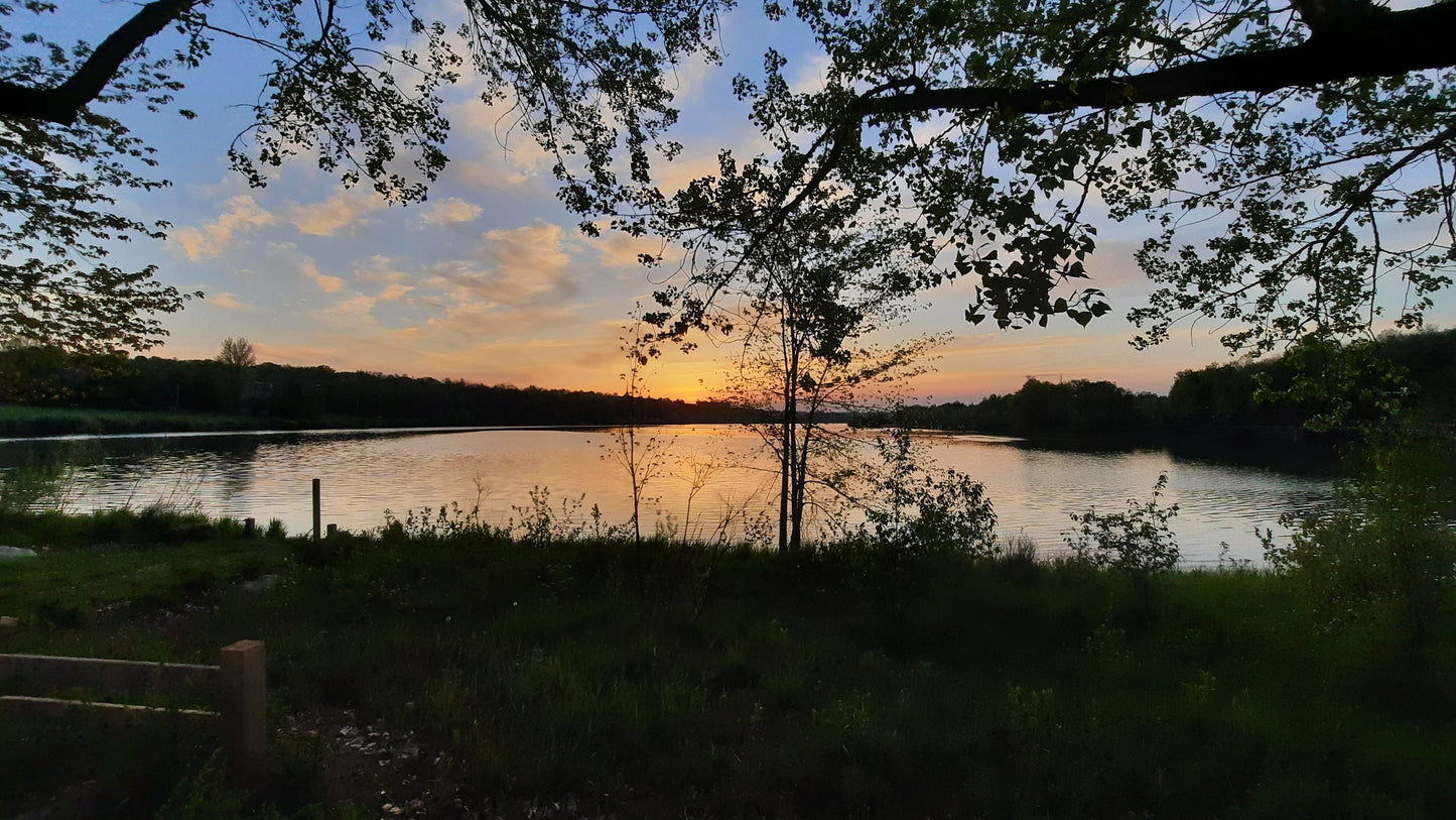 Lac Des Nations Du 20 Mai 2021 (Vue Bp1)