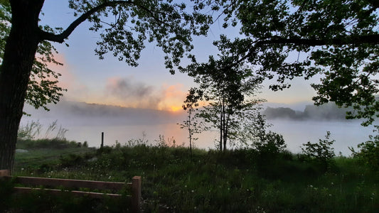 Le Soleil Et La Brume Du 24 Mai 2021 (Vue Bp1)