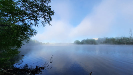 Le Bleu Et La Brume Du 24 Mai 2021 (Vue 1)