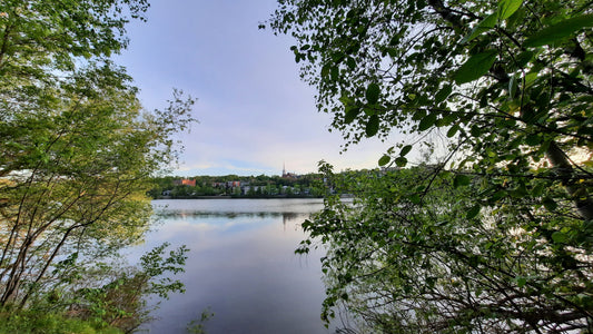 Lac Des Nations Du 25 Mai 2021 (Vue Sm100)