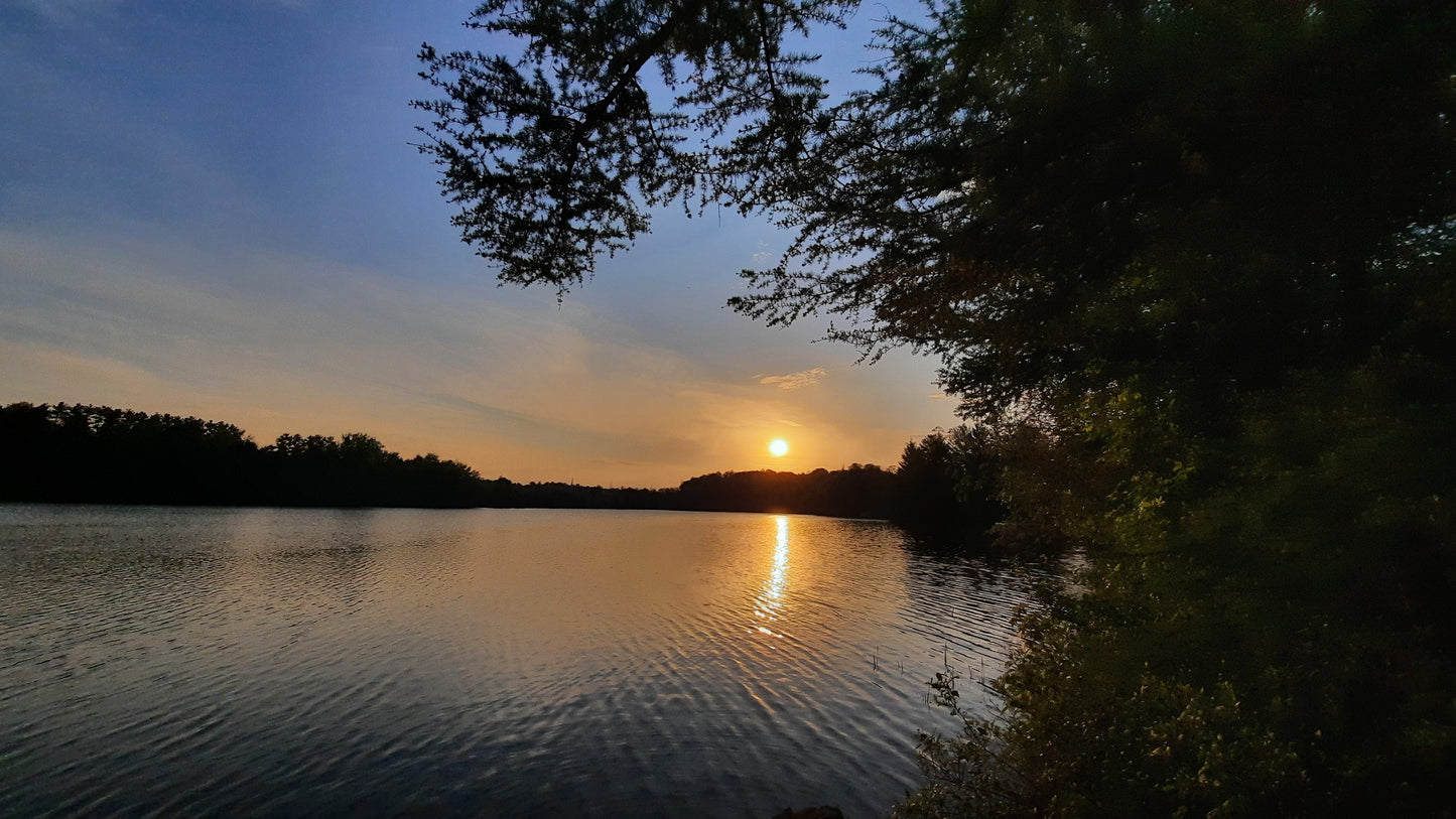 Le Soleil Du 26 Mai 2021 (Vue Souche)