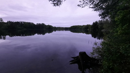 Le Gris Du 31 Mai 2021 (Vue Souche) 5H01