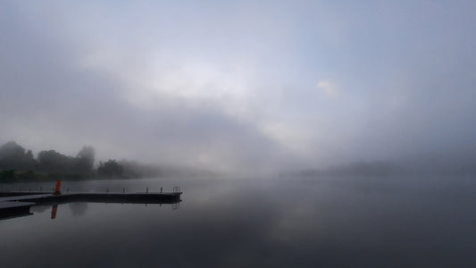 Brume Du 1 Juin 2021 (Vue Q1)