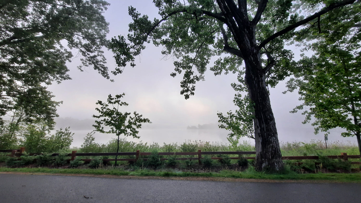 Brume Du 1 Juin 2021 (Vue Bp2)