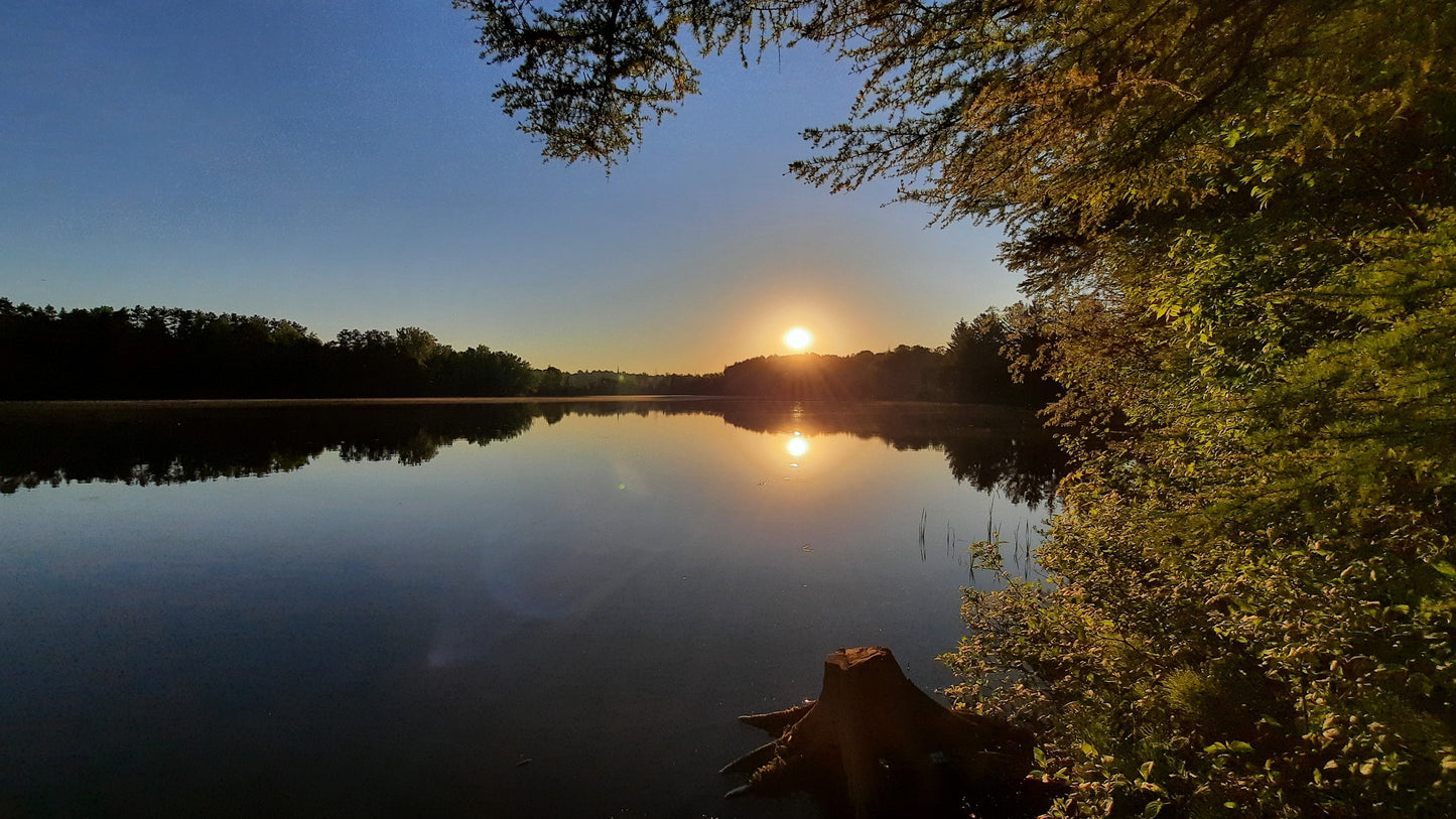 Le Soleil Du 2 Juin 2021 (Vue Souche) Photos