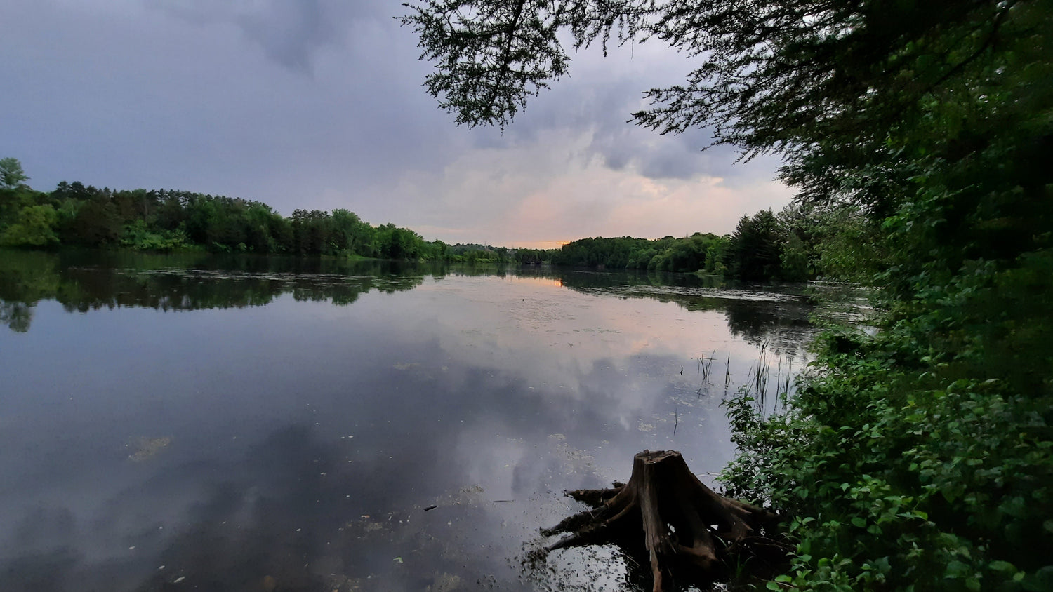 Aube Et Pluie Du 14 Juin 2021 (Vue Souche) 5H07