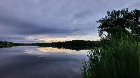 Lac Des Nations Du 15 Juin 2021 (Vue Q13) 5H14