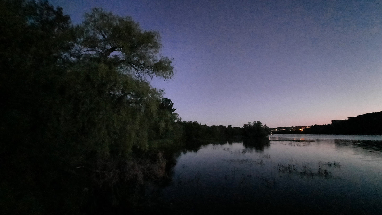 Le Grand Saule Du 20 Juin 2021 (Vue T2) 4H15