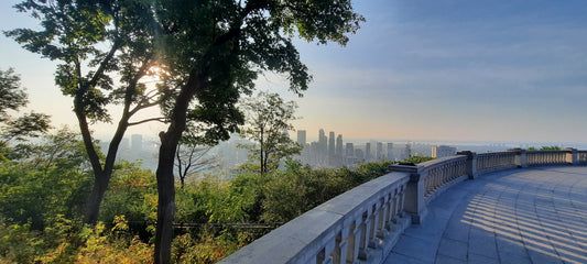 Soleil Sur Le Mont-Royal 13 Août 2021 6H49 Dans Smog De Montréal Vue Du Centre-Ville Arbres Ciel