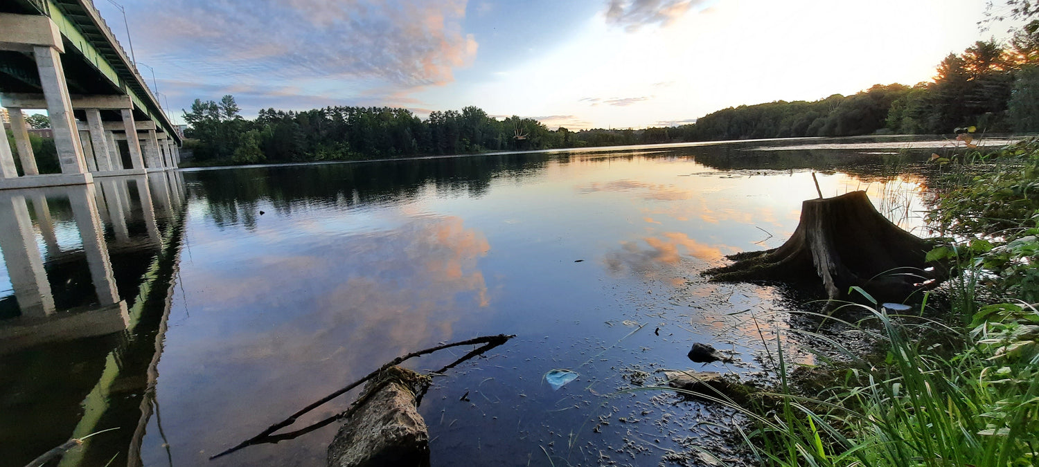 Trouve Les Déchets Du 1 Septembre 2021 6H27 (Vue Souche2) Rivière Magog Sherbrooke