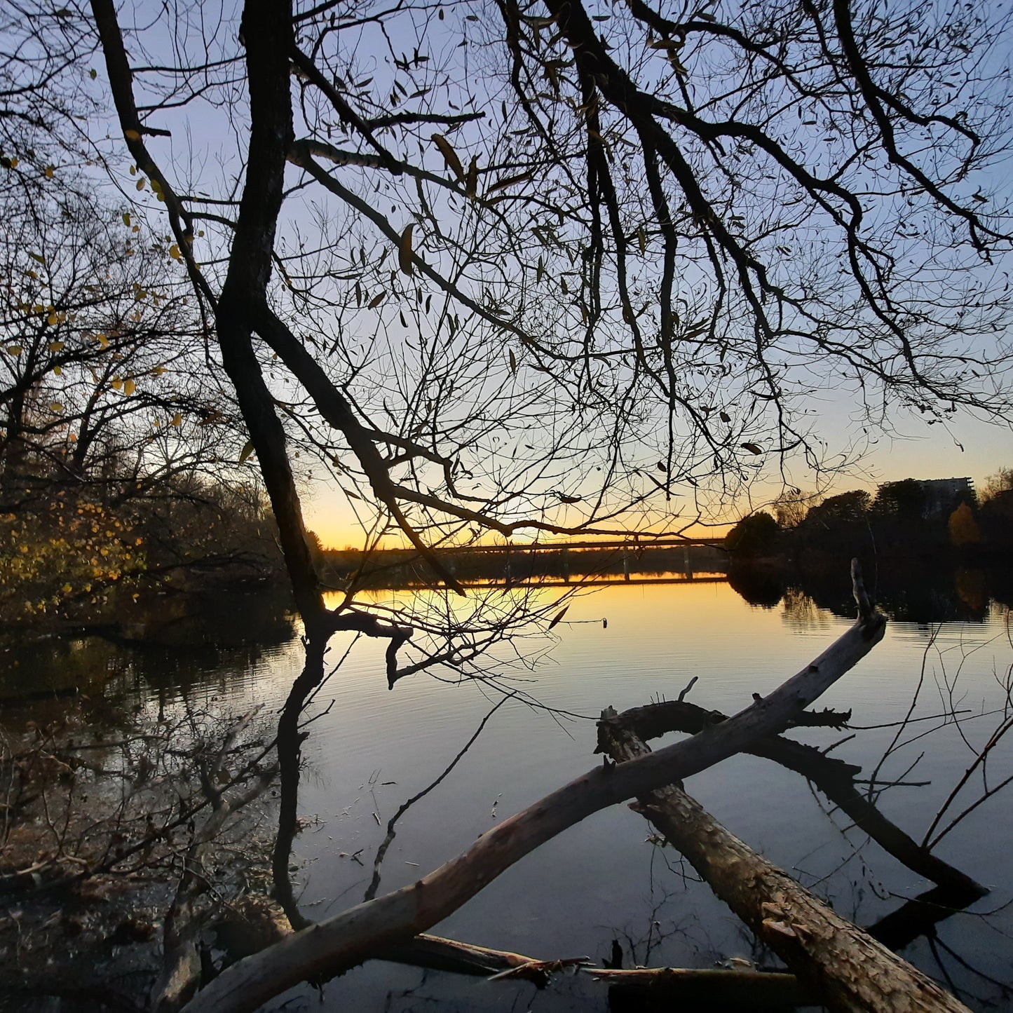 Dernier Coucher De Soleil Avant Reculer L’heure 6 Novembre 2021