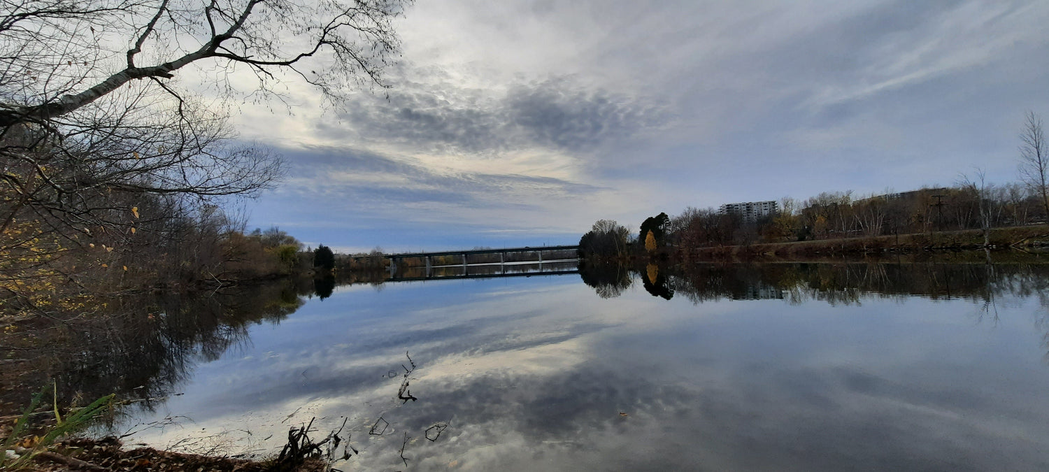 2021-11-11 15:51 Sherbrooke (Vue 1)