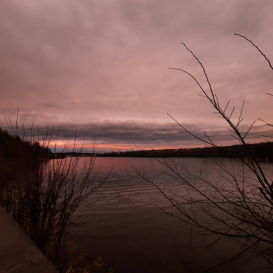 2021-11-12 16:21 Sherbrooke Coucher De Soleil Vers L’est (Vue Lac-Des-Nations)