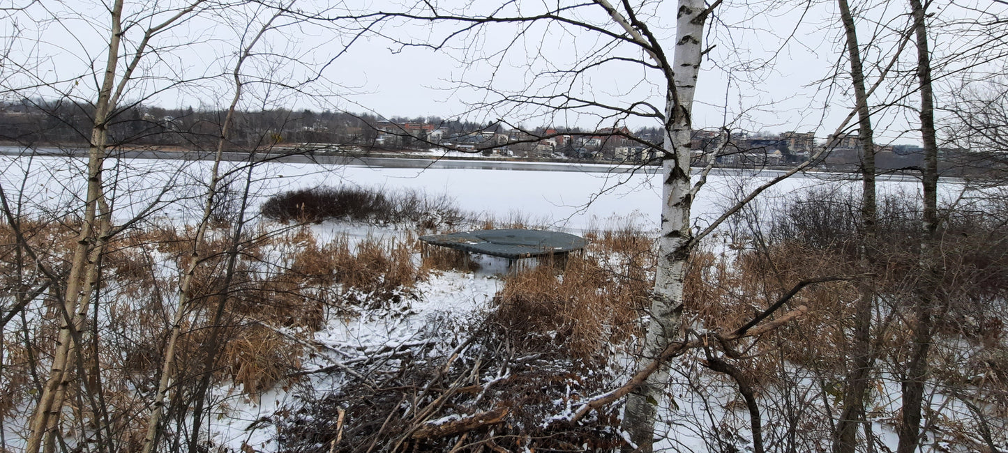 2021-11-30 08:31 Lac Des Nations À Sherbrooke (Vue Sm0)