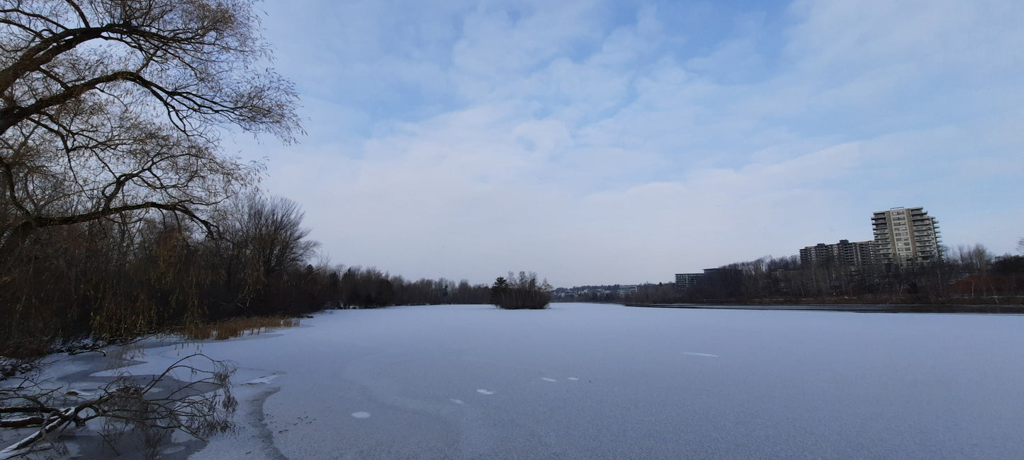 Glace 2021-11-30 09:03 Rivière Magog À Sherbrooke (Vue T2)