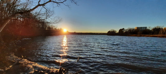 3 Photos--->Bonne Fête Jess!!! Trouve Les Canards (Vue 1)