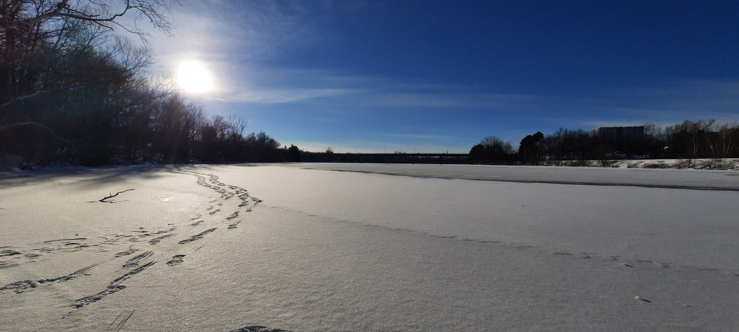 David Sur La Rivière Magog À Sherbrooke (Vue 1)