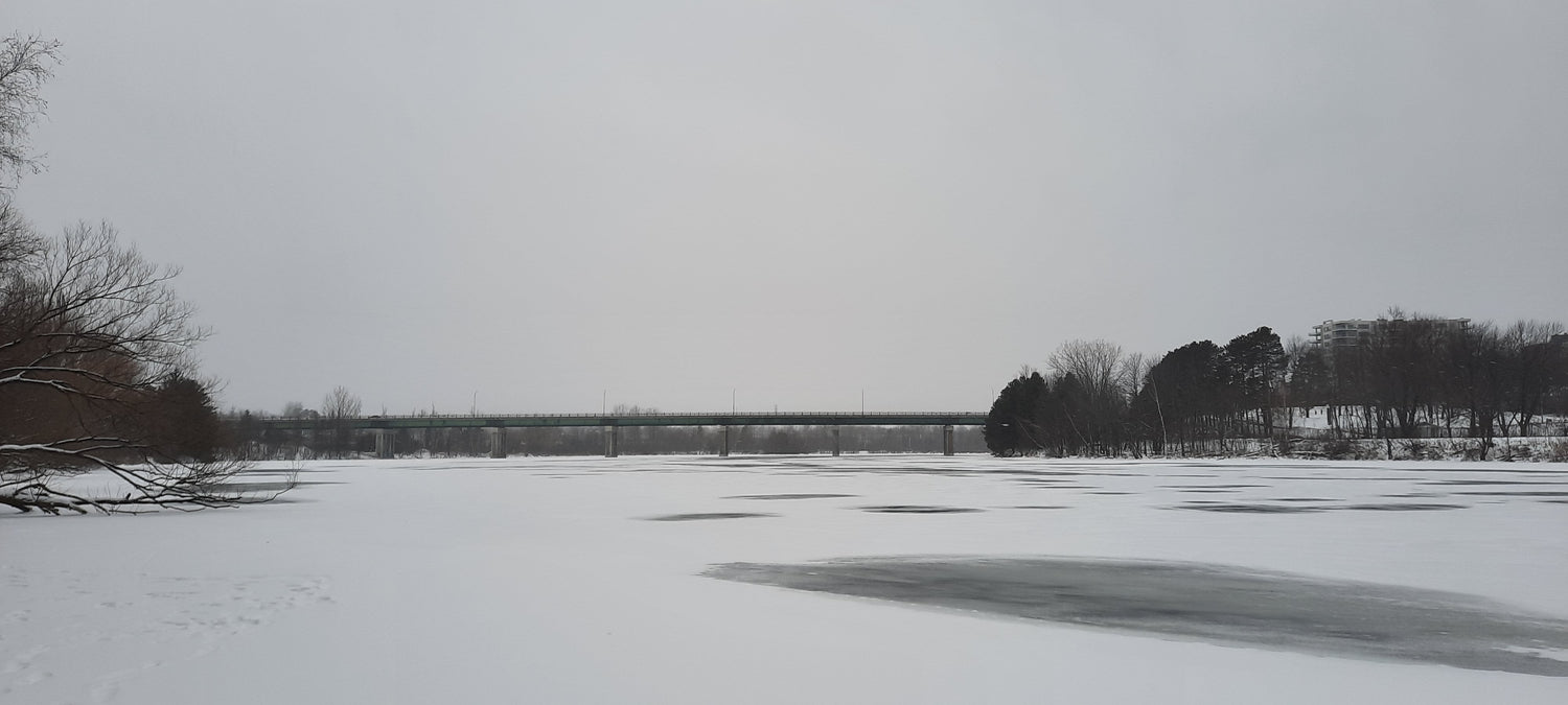 Panoramique 2022-01-09 (Vue 1)