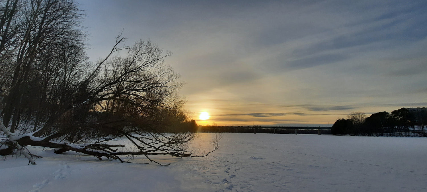 Coucher De Soleil Du 1Er Février 2022 (2022-02-01)