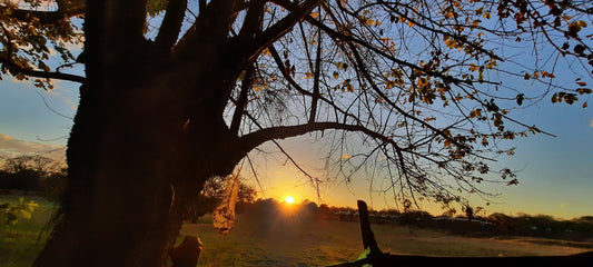 Coucher De Soleil Du 28 Février 2022 (3 Photos)