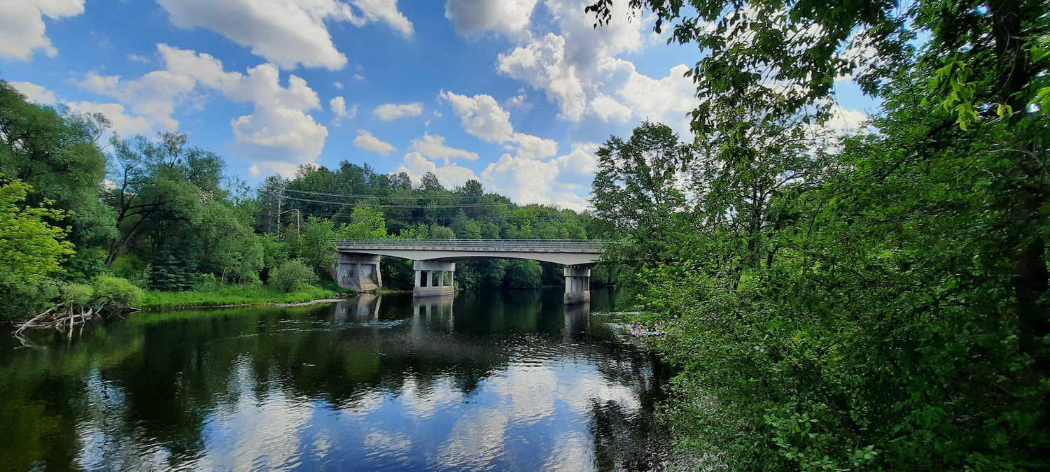 2022-06-25 Pont Chemin St-Roch Sud (Vue Parc Dussault)