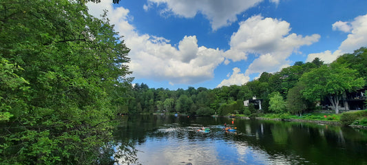 2022-06-25 Pont Chemin St-Roch Sud (Vue Parc Dussault)