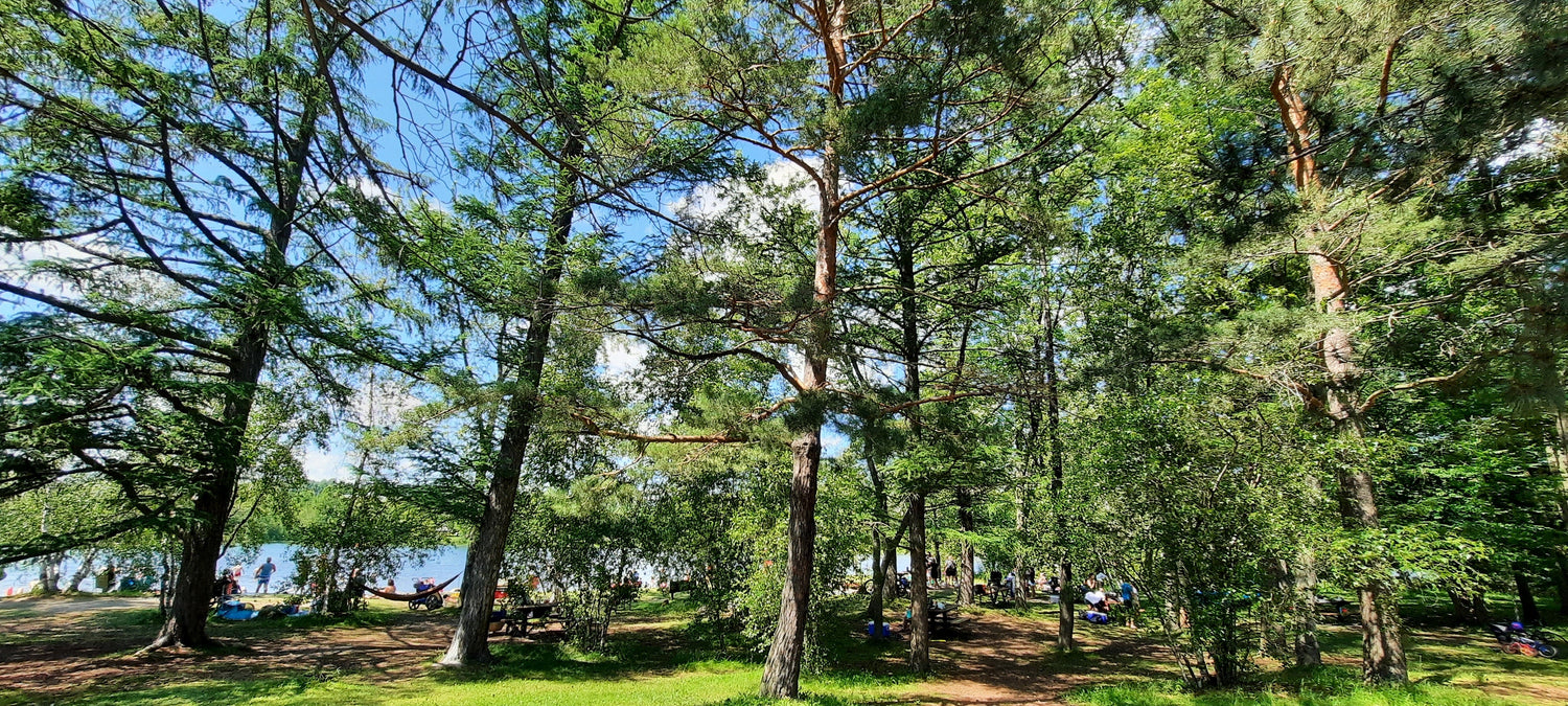 Plage Du Parc Blanchard À Sherbrooke (5 Photos)