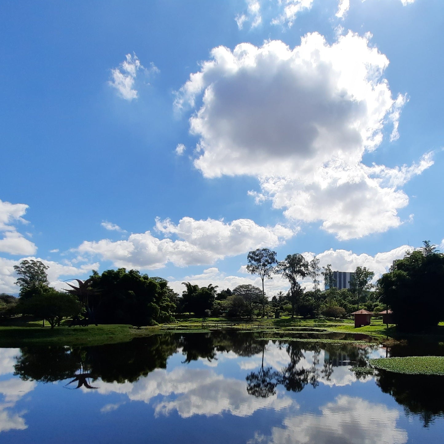 Parque La Sabana