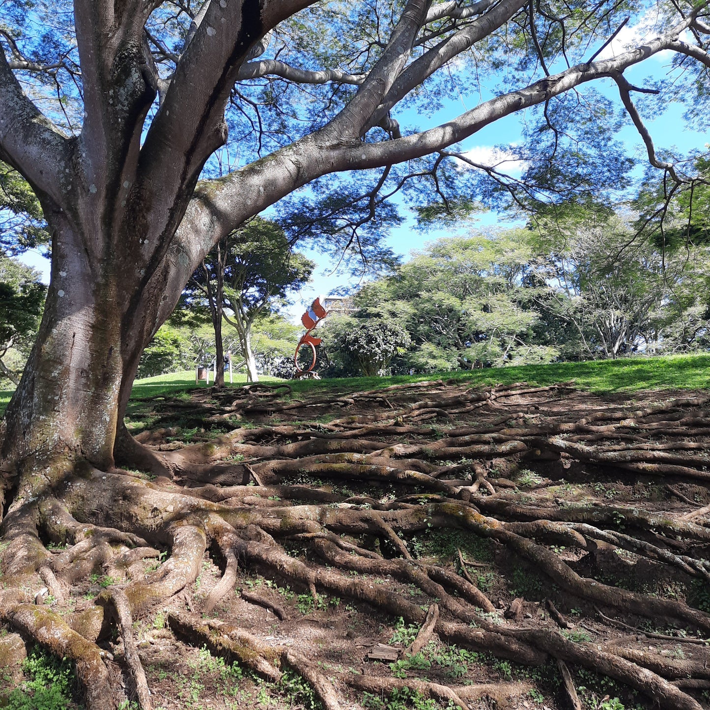 Parque La Sabana