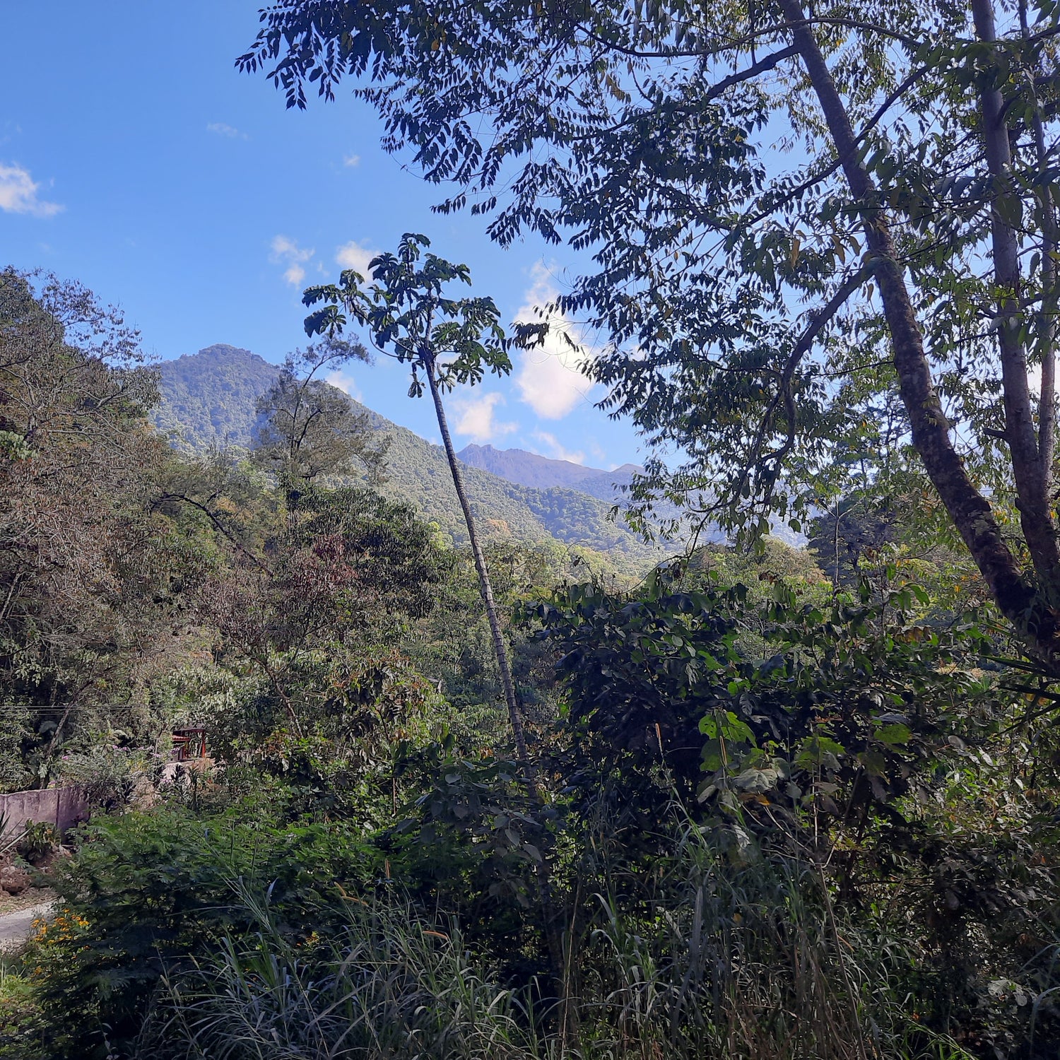 Parc National Du Cerro Chirripo (Parque Nacional Chirripo)