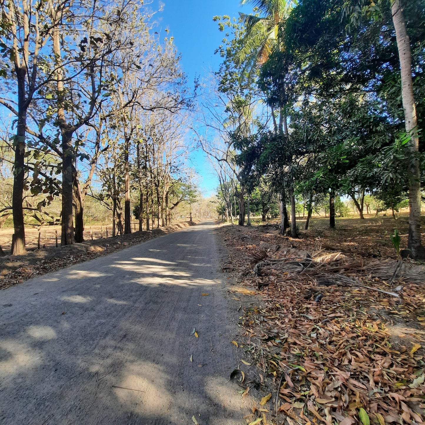 Un Petit 118 Km Pour Aller De Santa Cruz À La