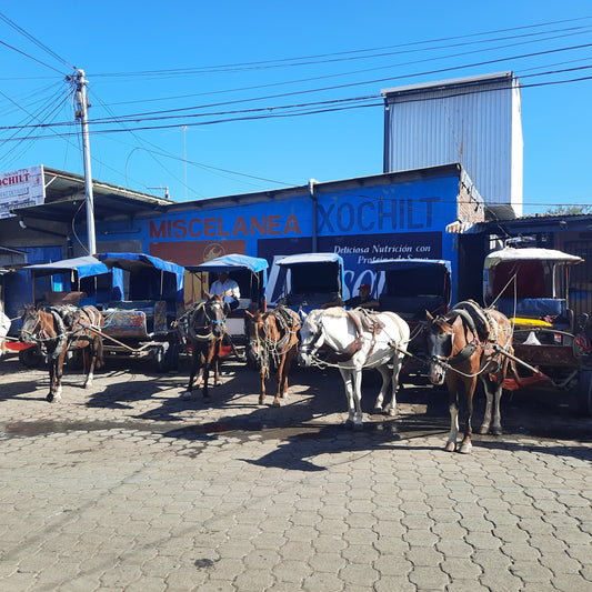 Parking Chevaux