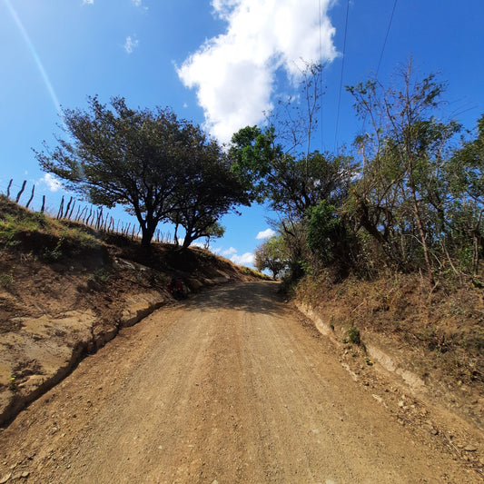 Le Chemin Tranquille