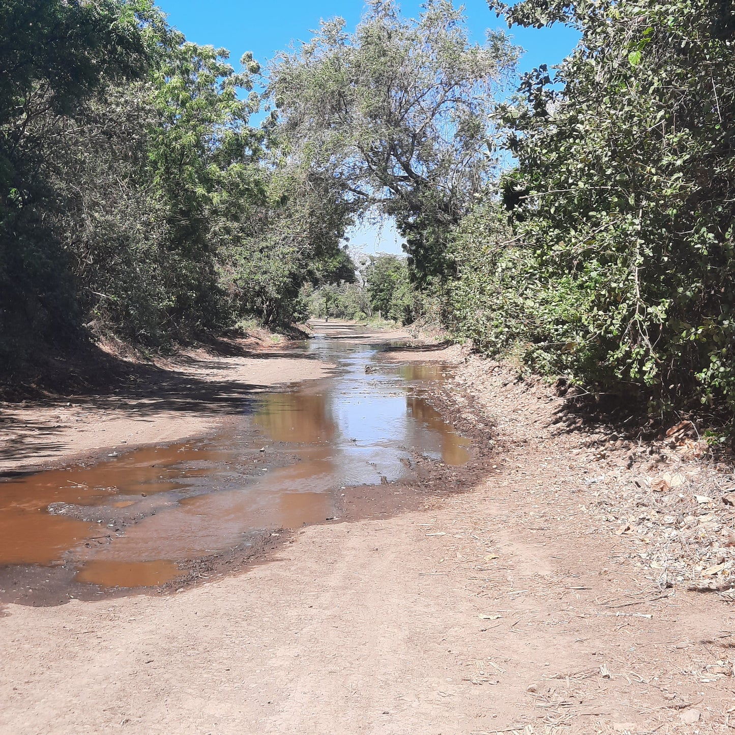 2023-02-27 De León À Chinandega