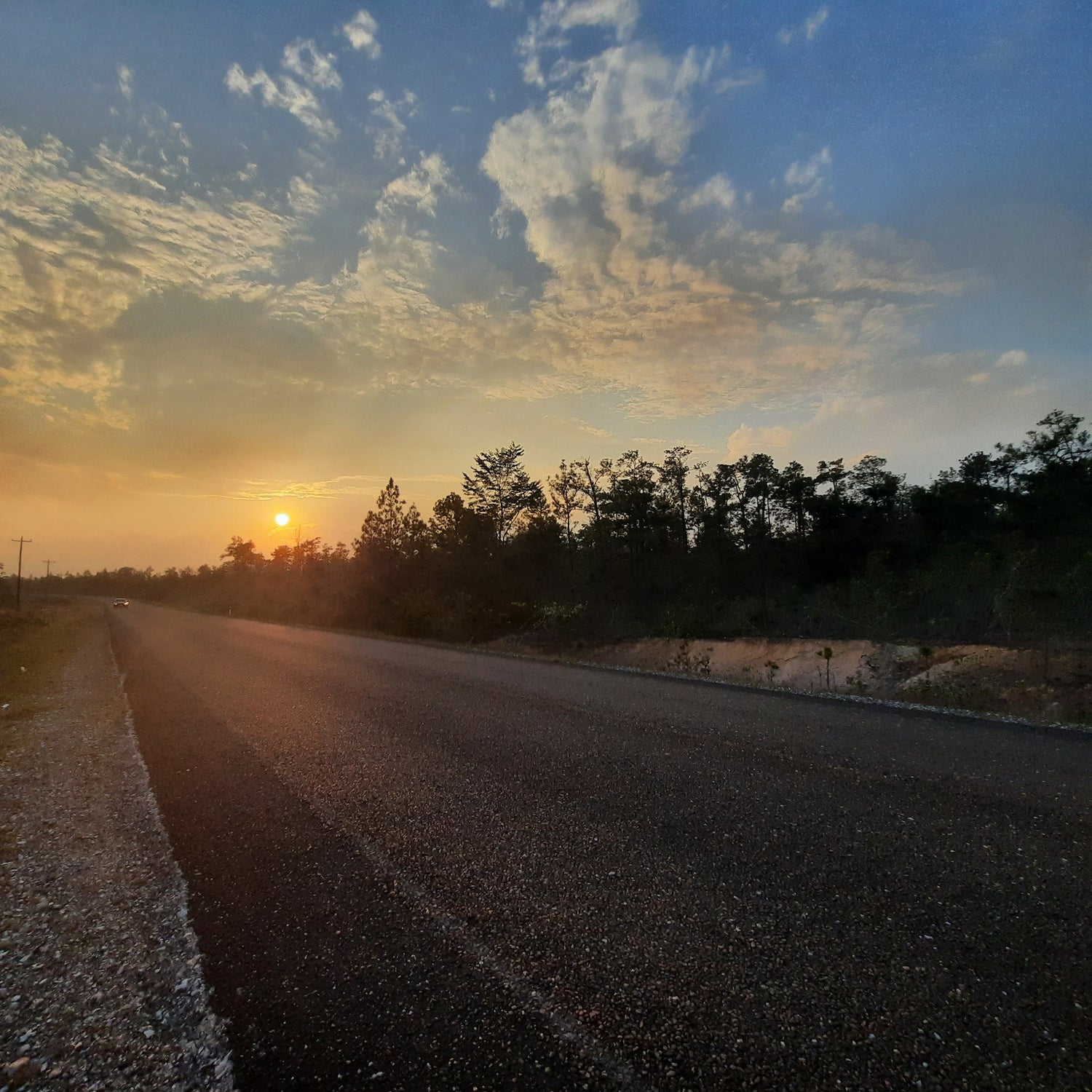 Bella Vista (Belize)