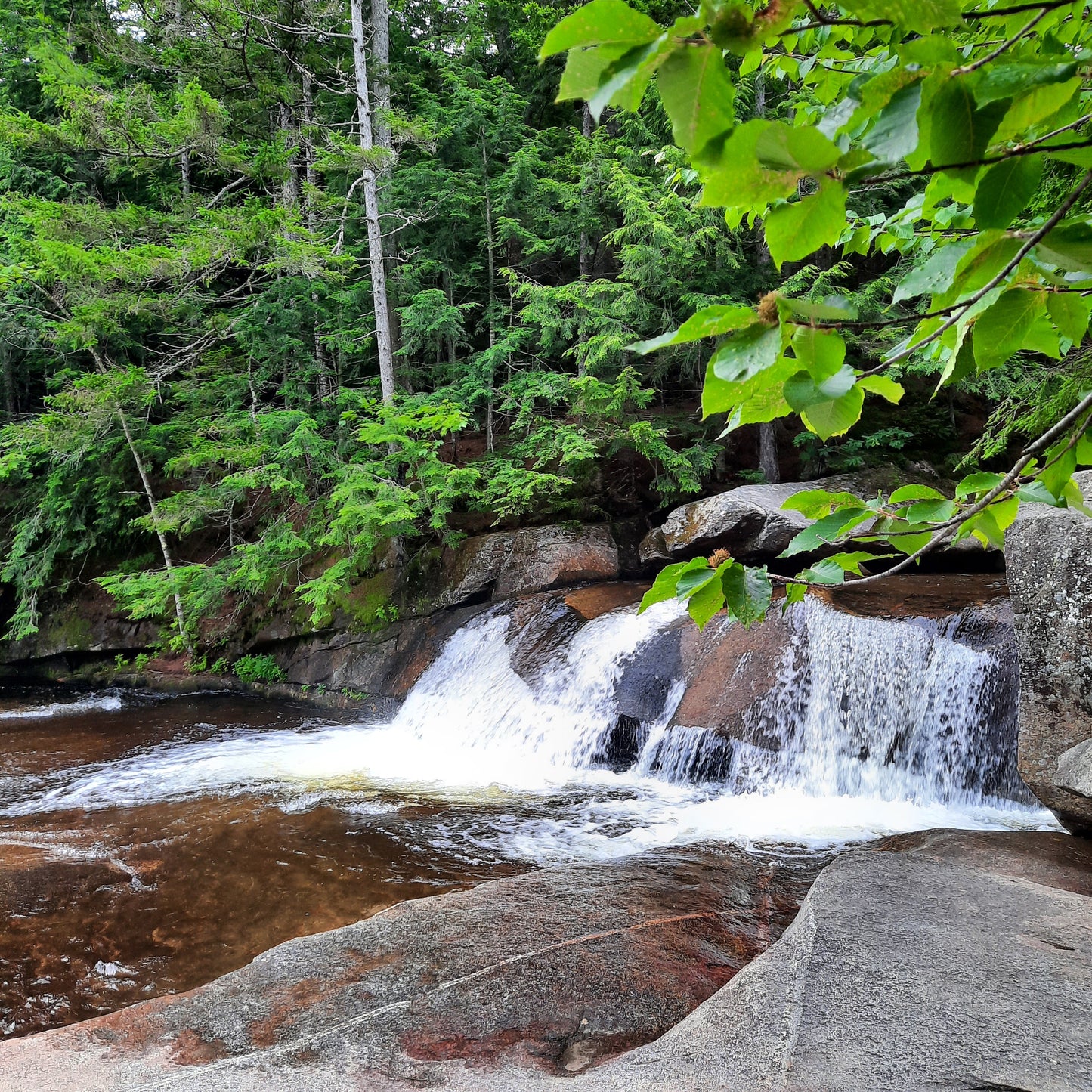 Screw Auger Falls Maine (Usa)