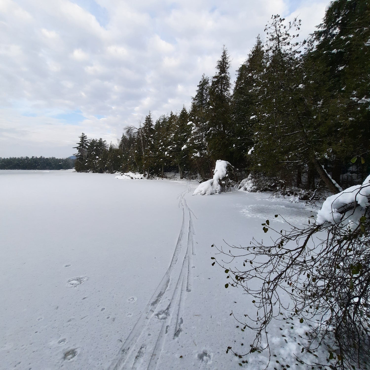 Lac Fraser Gelé