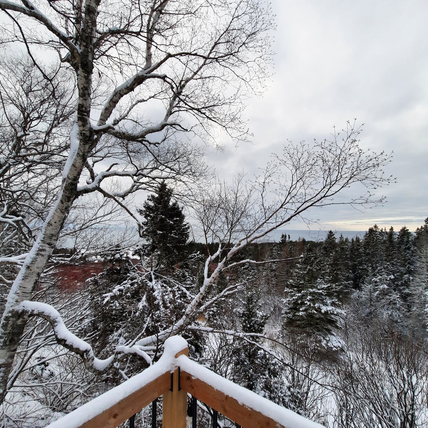 Domaine Renard À Percé