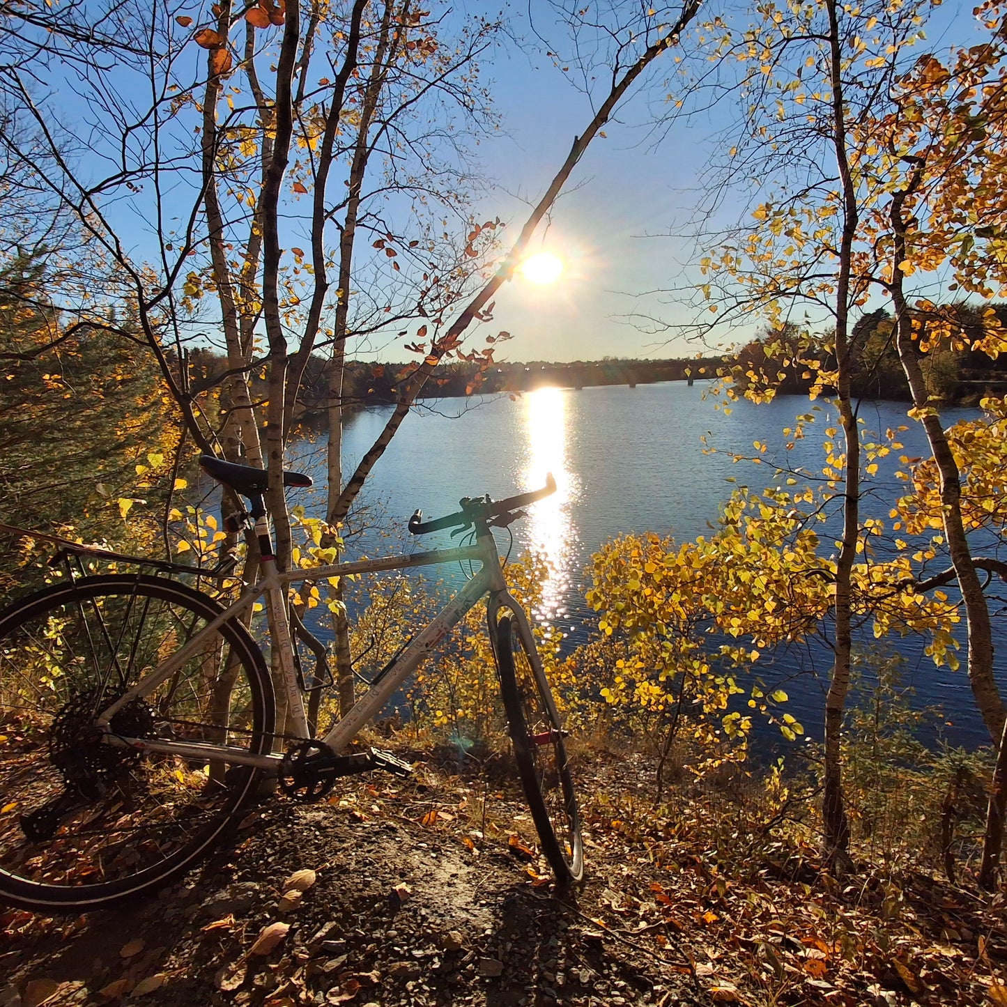 2024-10-17 16:57  Trouve le Rapido vélo(Vue 2.3)