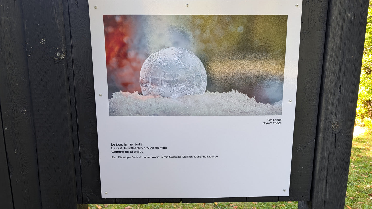 Beauté Fragile - Rita Labbé