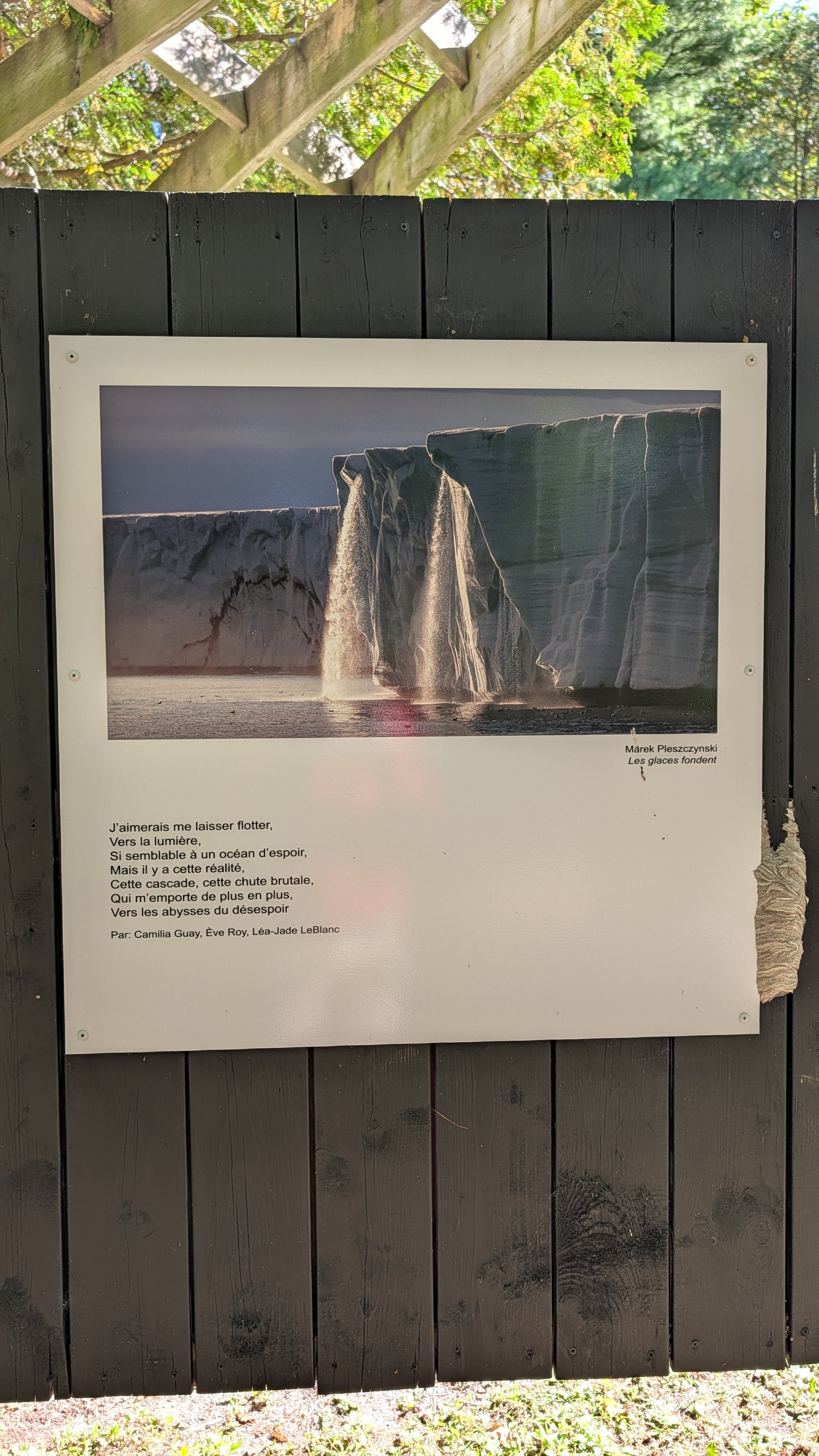 Les glaces fondent - Marek Pleszczynski
