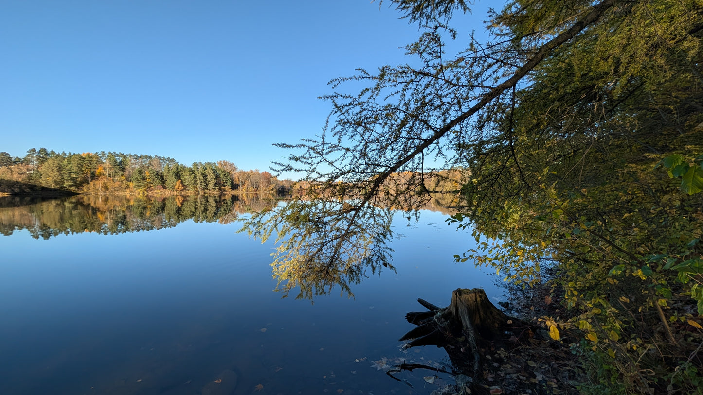 2026-10-21 16:19 (Vue Souche)